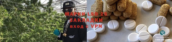 прущий лед Алзамай