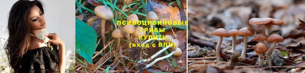 круглые Алексеевка