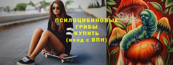 круглые Алексеевка